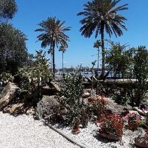 Meet your Posher, Romaine